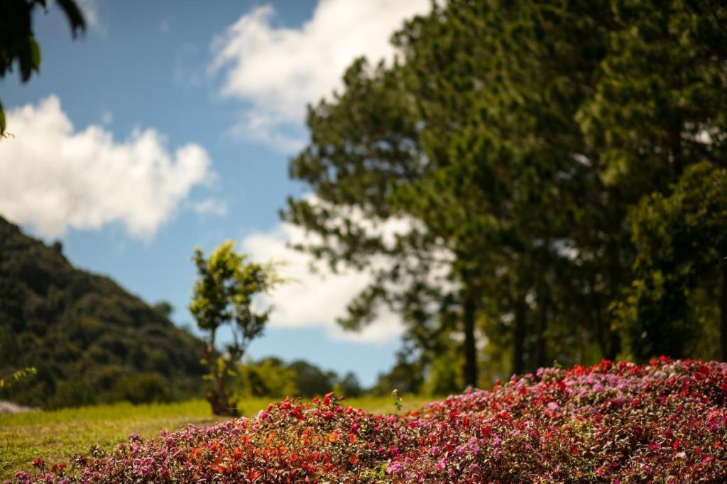 Sam Tuyen Lam Resort Da Lat Dış mekan fotoğraf