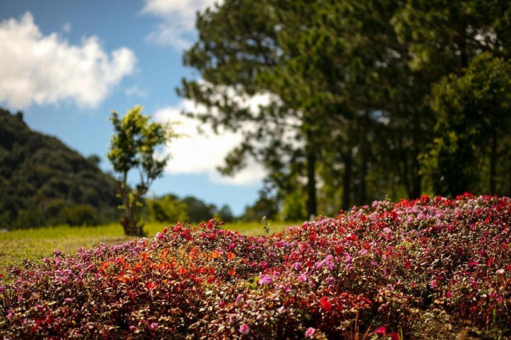 Sam Tuyen Lam Resort Da Lat Dış mekan fotoğraf